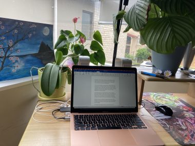 toolkit | Amyloidosis News Today | Jaime's writing corner features her laptop, several plants, a painting, and large windows letting in lots of natural light.
