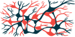 A web of nerve fibers is shown.