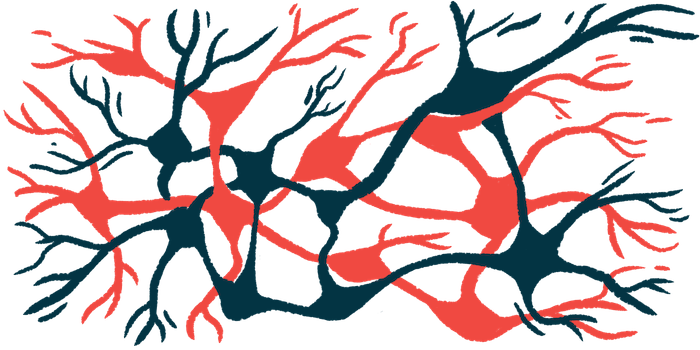 A web of nerve fibers is shown.