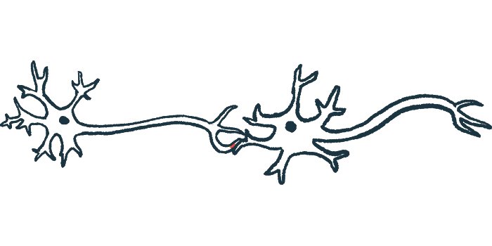 A close-up view of a synapse shows the junction between two nerve cells where electrical impulses pass.