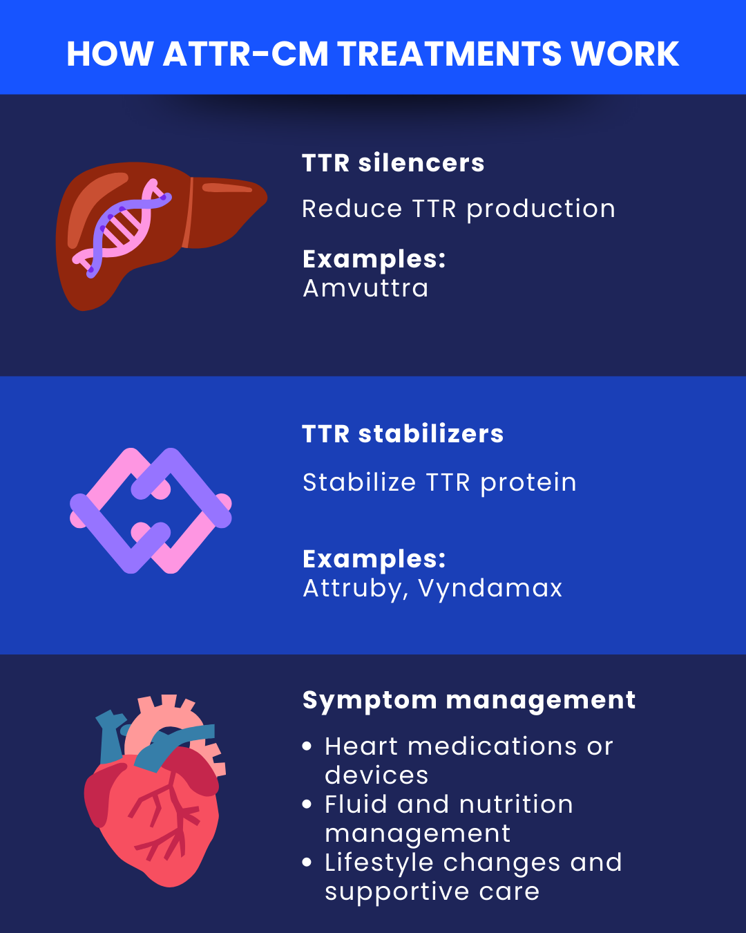 ATTR-CM treatment options | Amyloidosis News Today