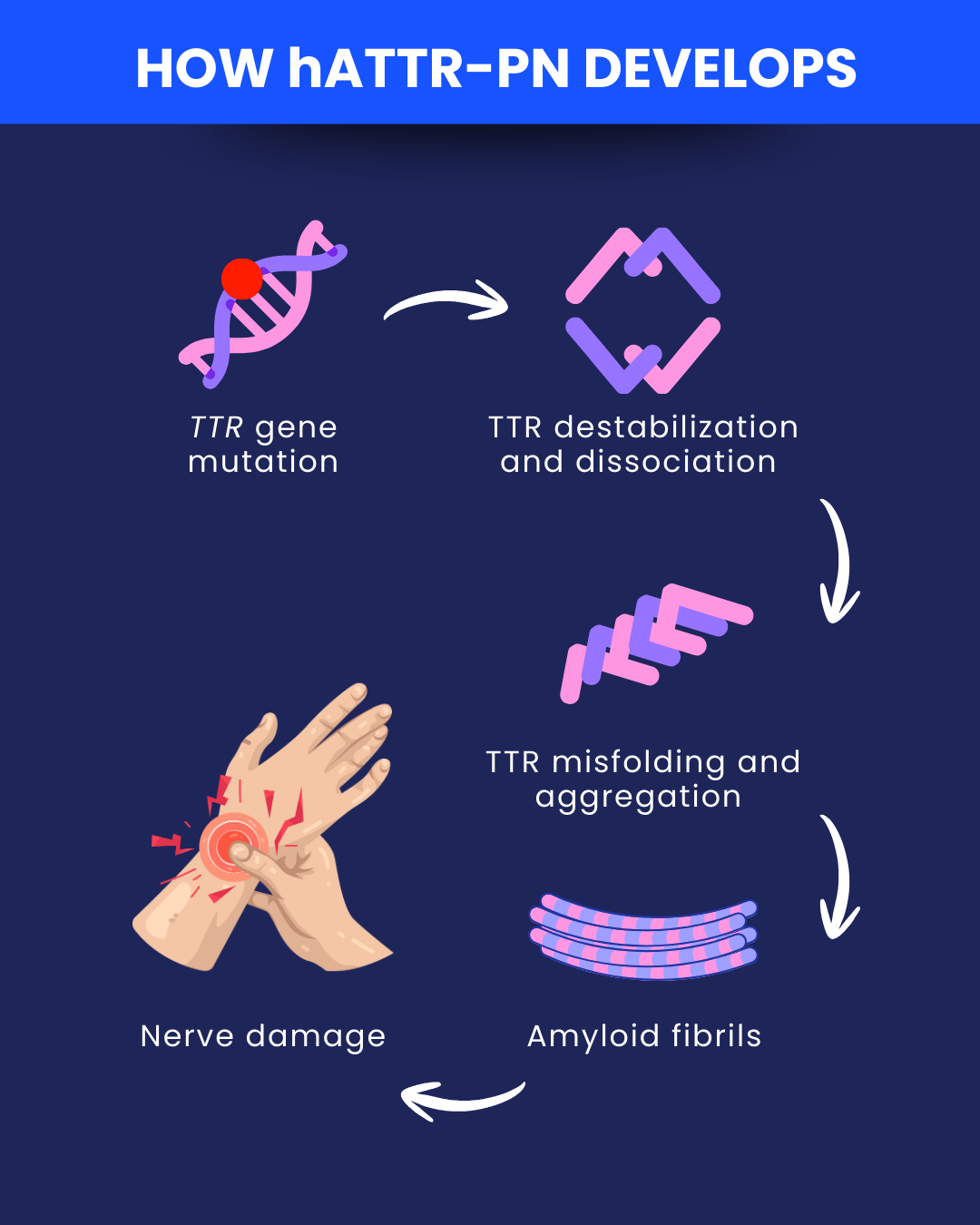 Causes of hATTR-PN | Amyloidosis News Today