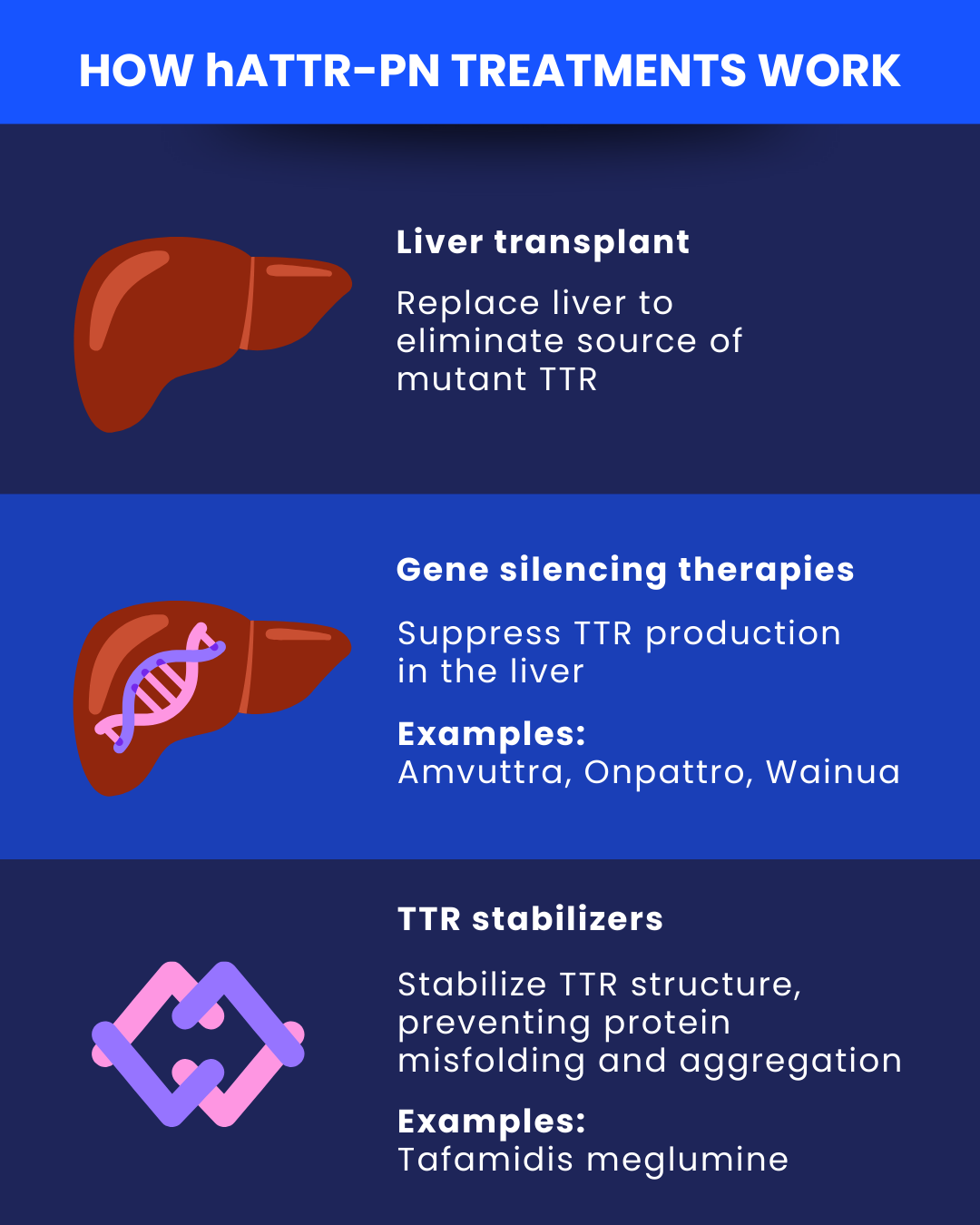 Hattr hATTR-PN treatment options | Amyloidosis News Today